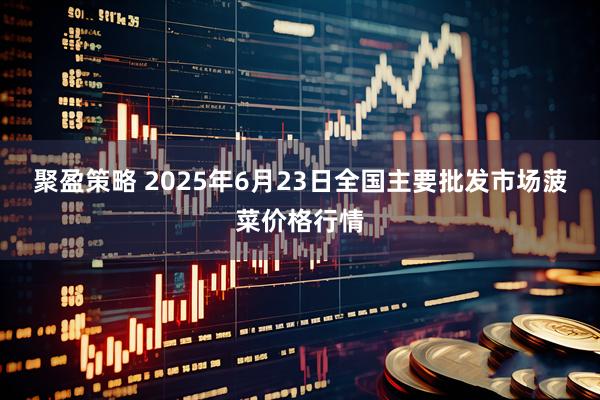 聚盈策略 2025年6月23日全国主要批发市场菠菜价格行情