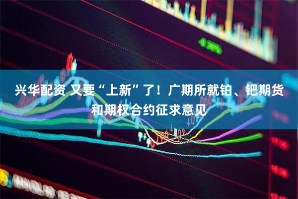 兴华配资 又要“上新”了！广期所就铂、钯期货和期权合约征求意见