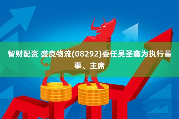 智财配资 盛良物流(08292)委任吴圣鑫为执行董事、主席