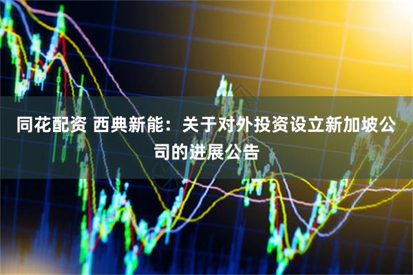 同花配资 西典新能：关于对外投资设立新加坡公司的进展公告