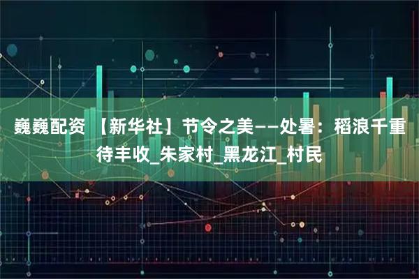 巍巍配资 【新华社】节令之美——处暑：稻浪千重待丰收_朱家村_黑龙江_村民